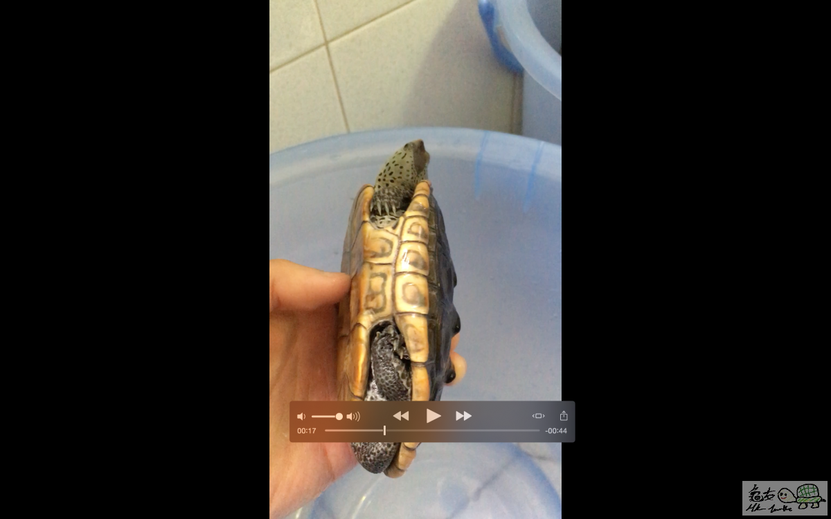 螢幕快照 2016-04-07 14.56.52.png