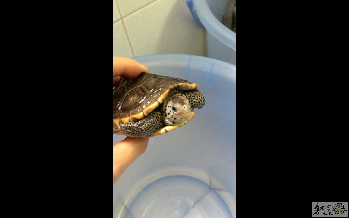 螢幕快照 2016-04-07 14.57.05.png