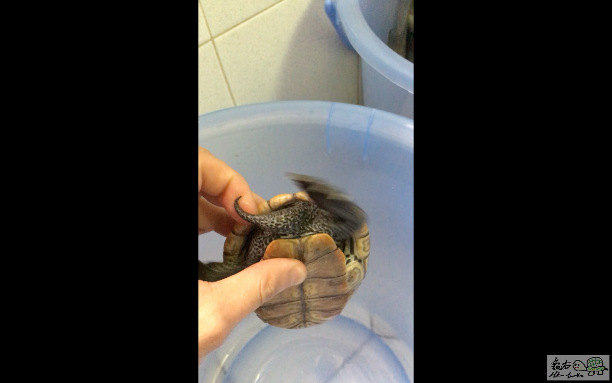 螢幕快照 2016-04-07 14.57.31.png