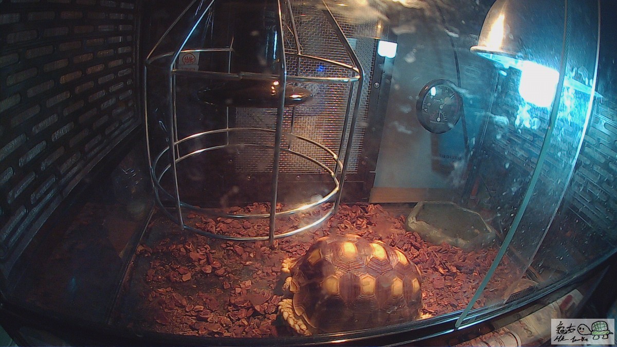       連   一   個   箱   一   盞uvb      三   盞uva   一   支   暖   管   二   塊   電   氈   一    ...