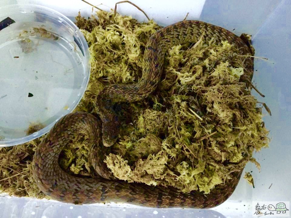 Image 14-7-2016 at 上午1.20 (2).jpg