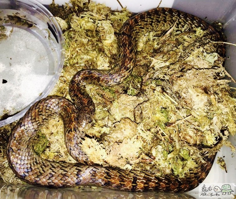 Image 14-7-2016 at 上午1.20.jpg