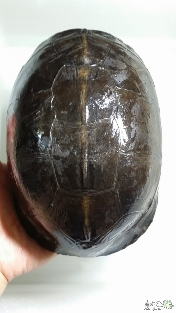 2016-07-31 15.50.50.jpg