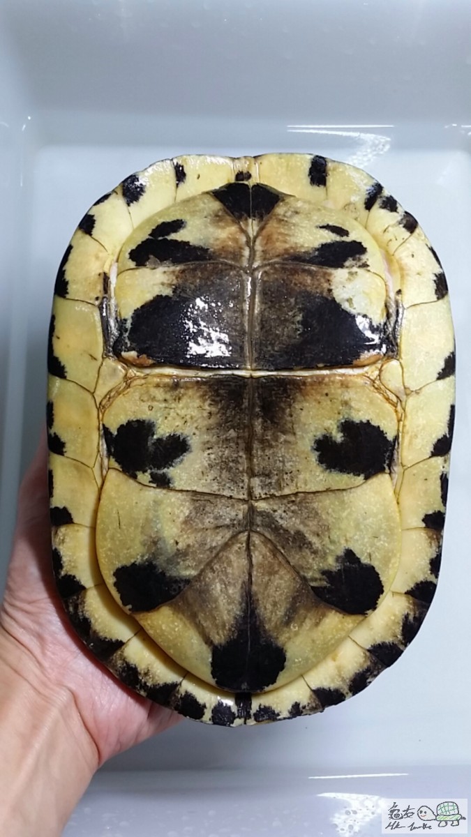 2016-07-31 15.50.32.jpg