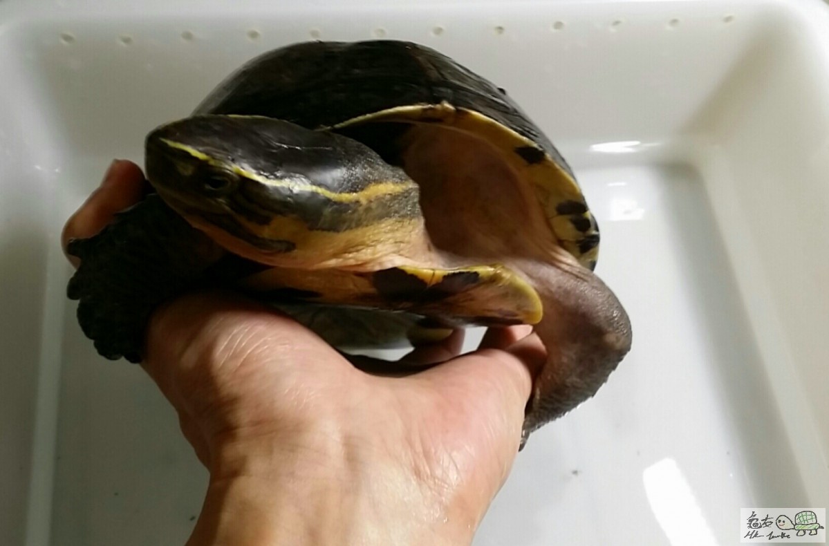 2016-07-31 17.07.18.jpg