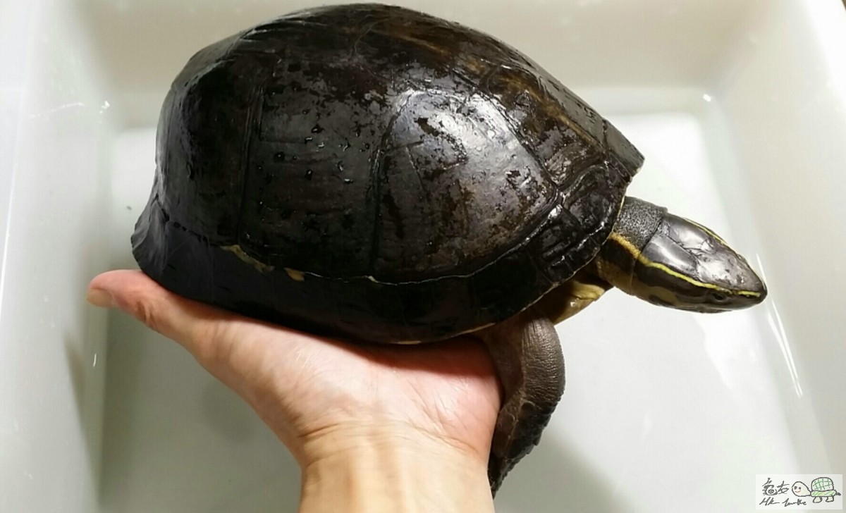 2016-07-31 17.07.58.jpg