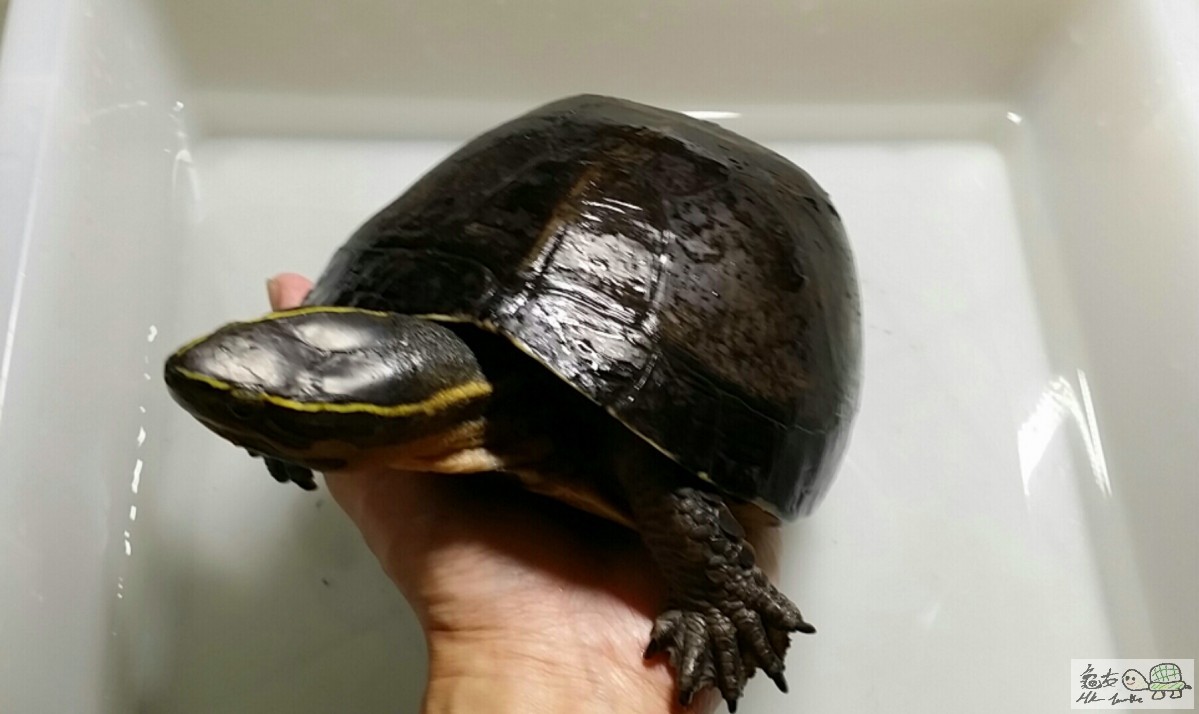 2016-07-31 17.08.29.jpg