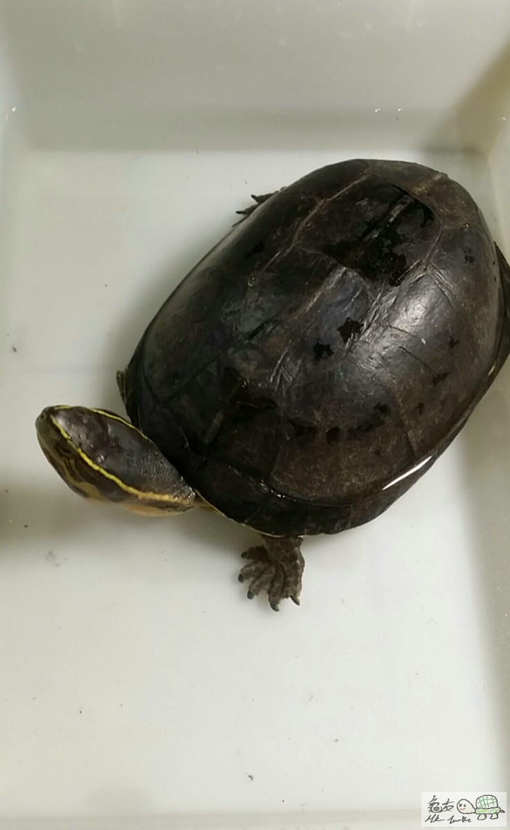 2016-07-31 17.06.26.jpg