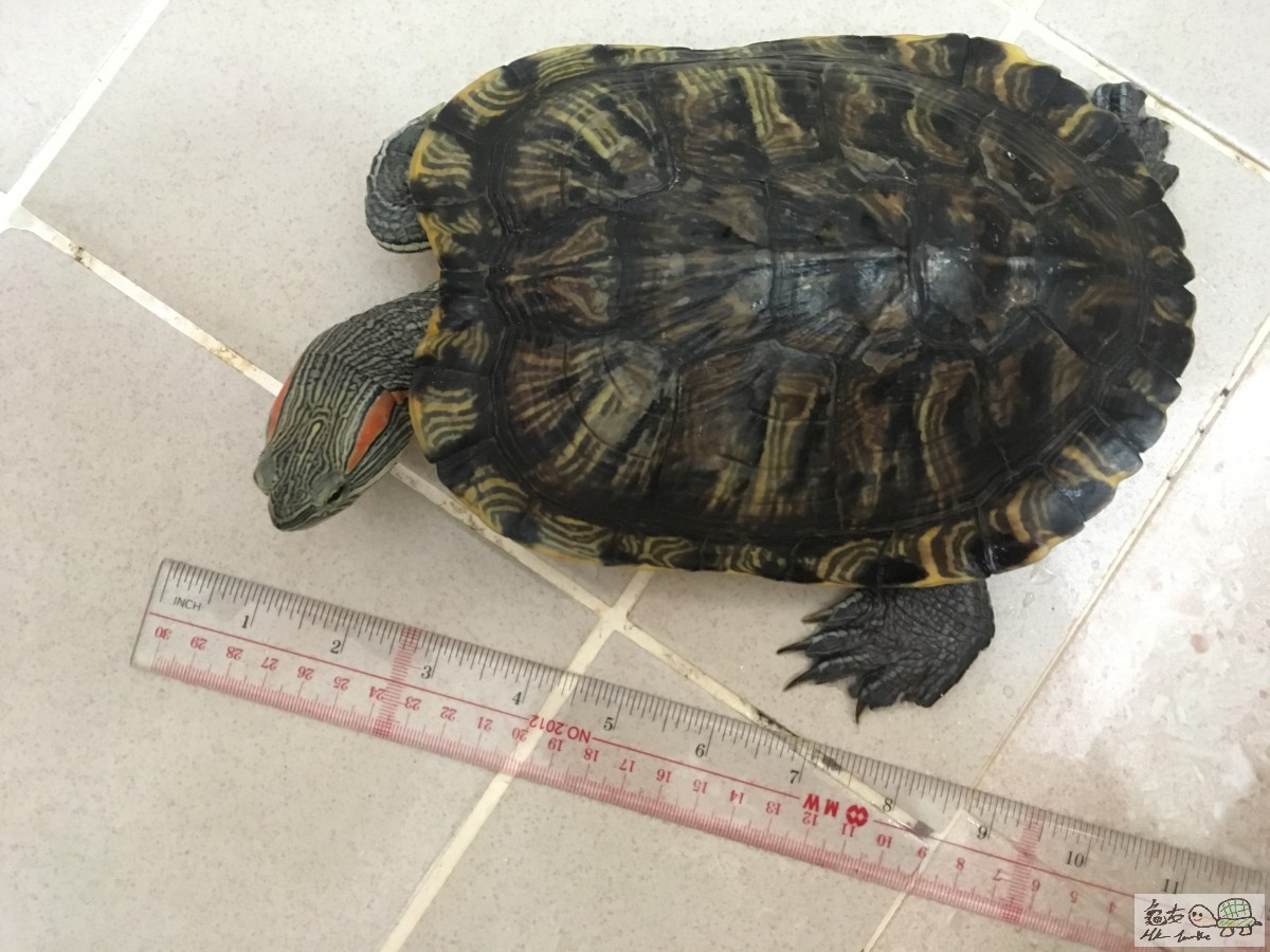 相片 4-10-2016 14 57 07.jpg