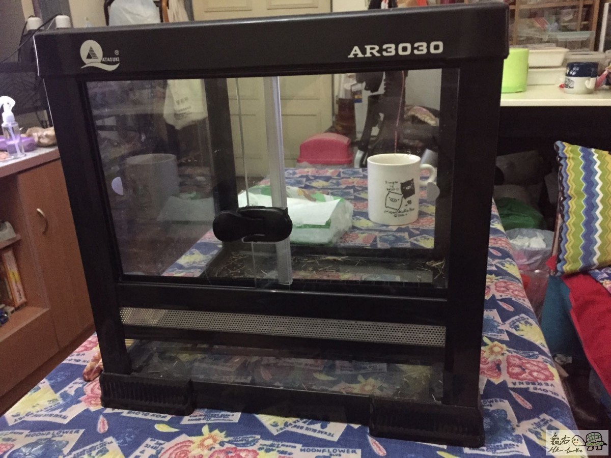 WhatsApp Image 2016-10-17 at 10.18.52 PM.jpeg