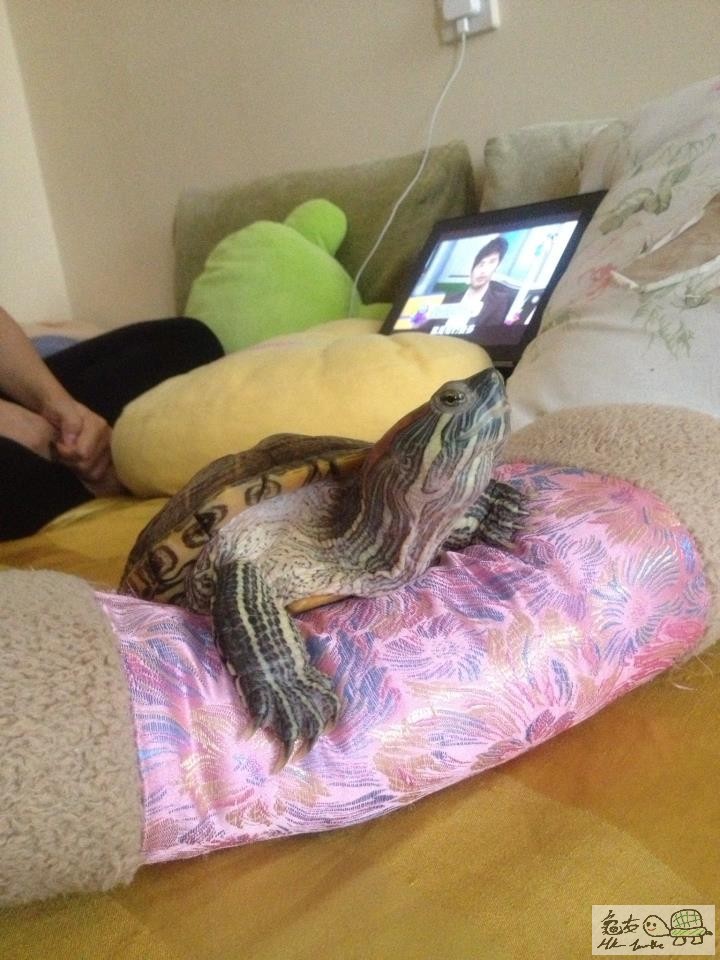 baby always like a bb