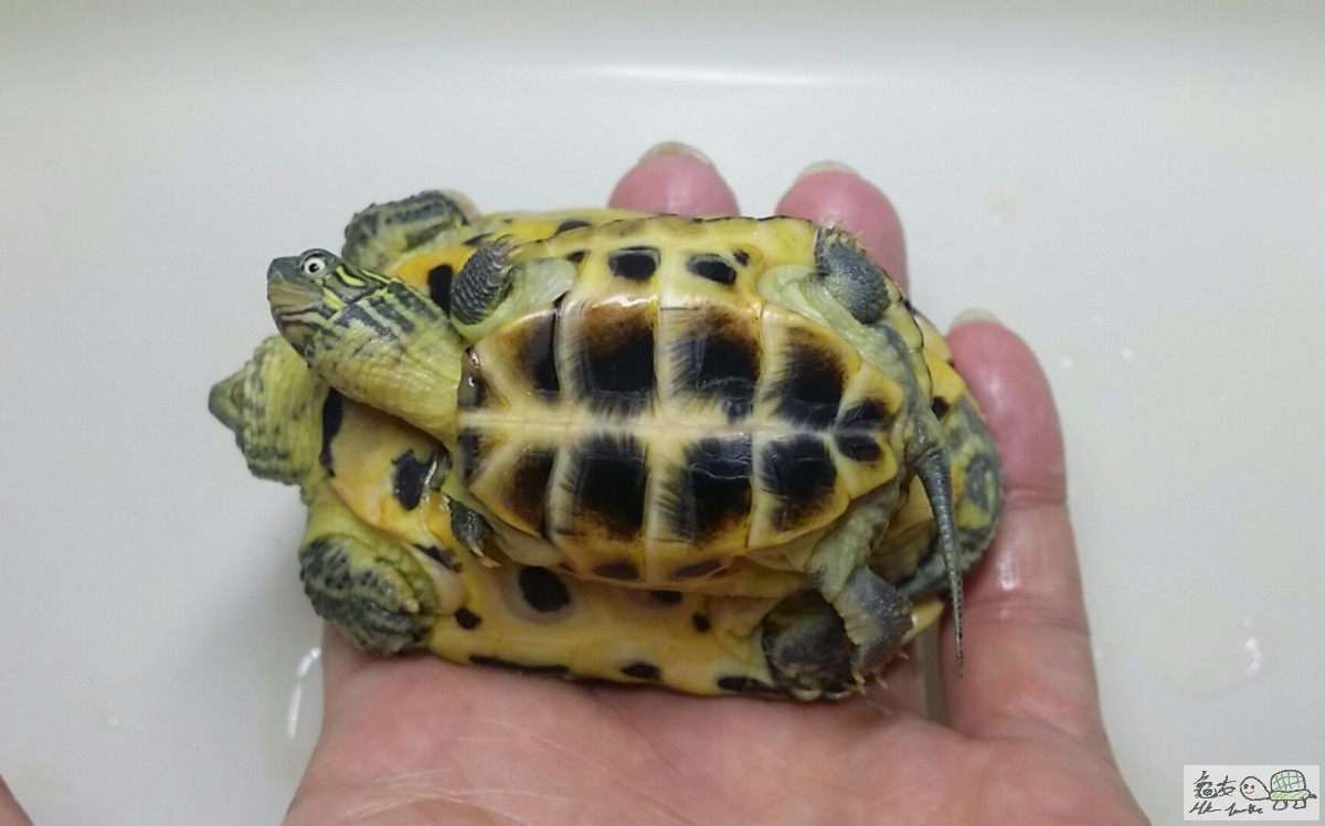 2016-12-25 14.50.54.jpg