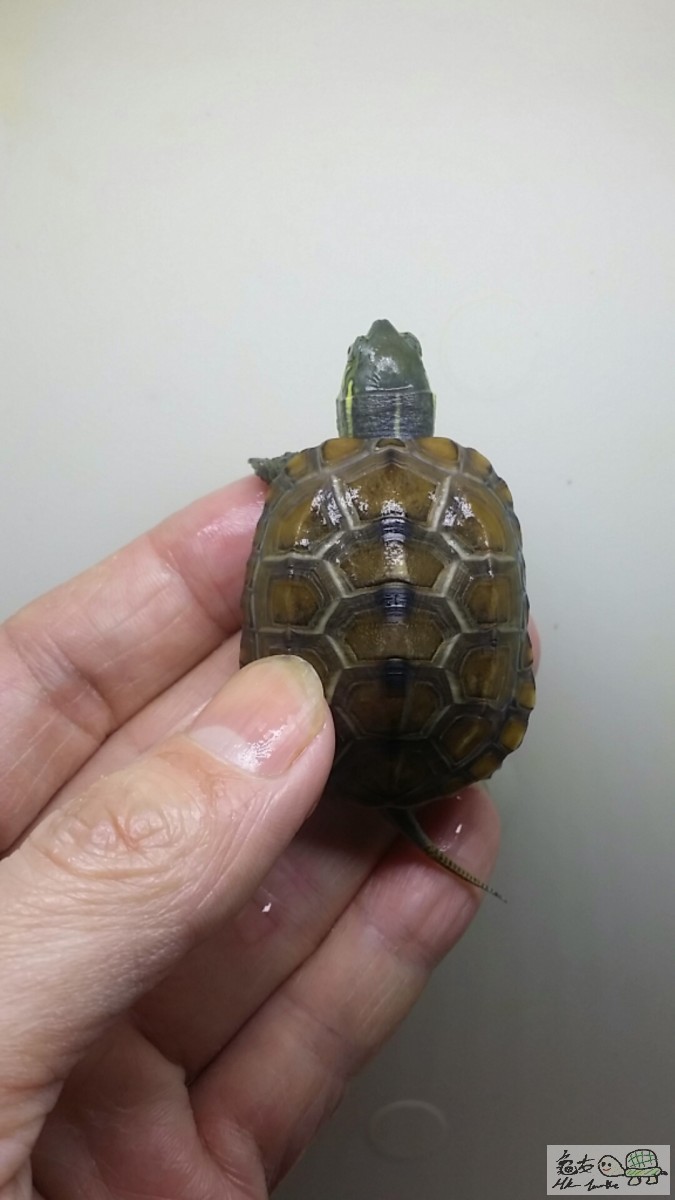 2016-12-25 14.41.02.jpg