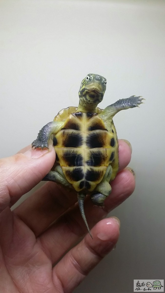 2016-12-25 14.40.48.jpg