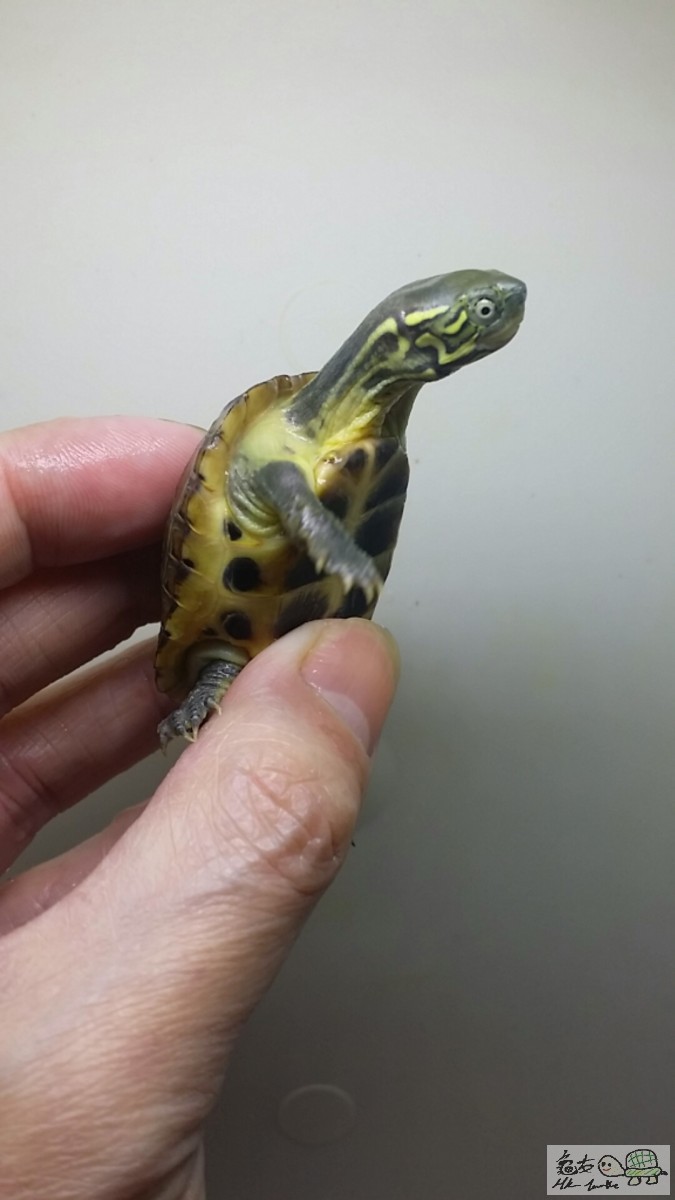 2016-12-25 14.40.35.jpg