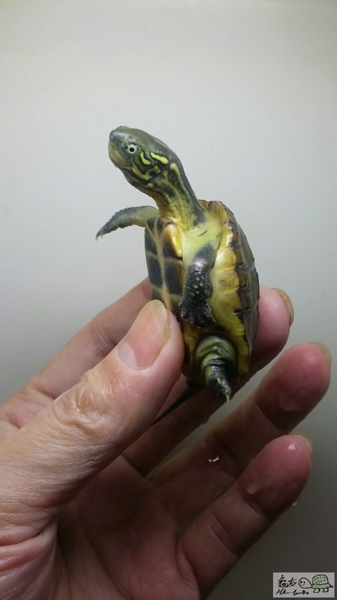 2016-12-25 14.40.21.jpg