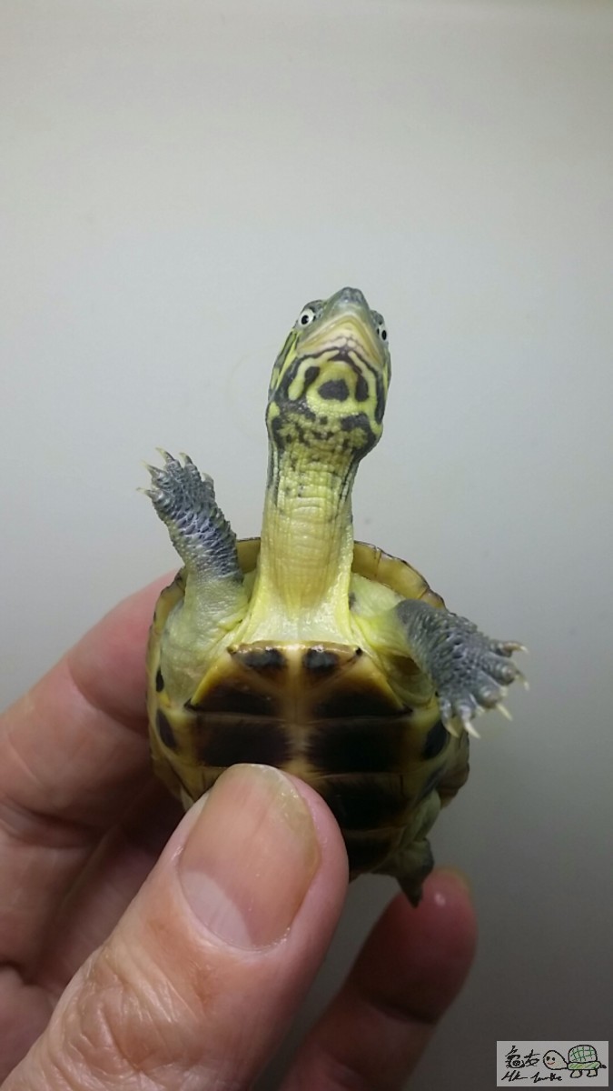 2016-12-25 14.39.02.jpg