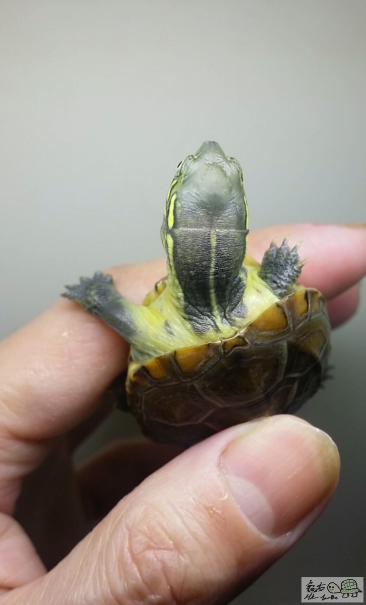 2016-12-25 14.38.33.jpg