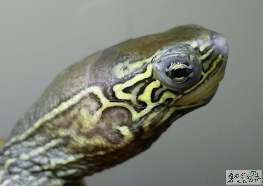 2017-03-27 16.09.23.jpg