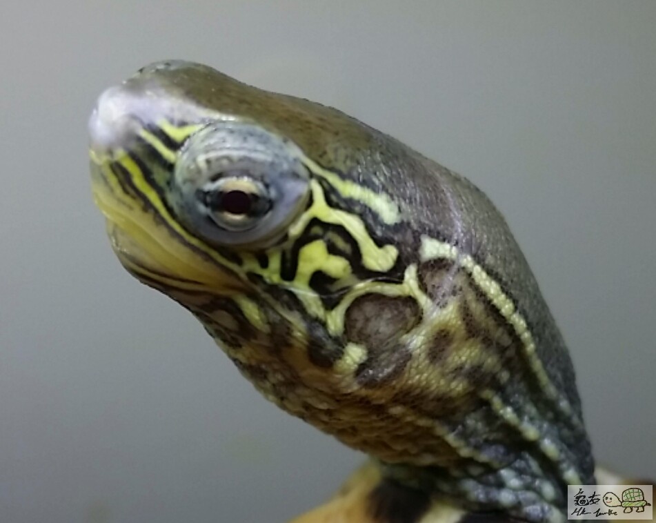 2017-03-27 16.08.17.jpg