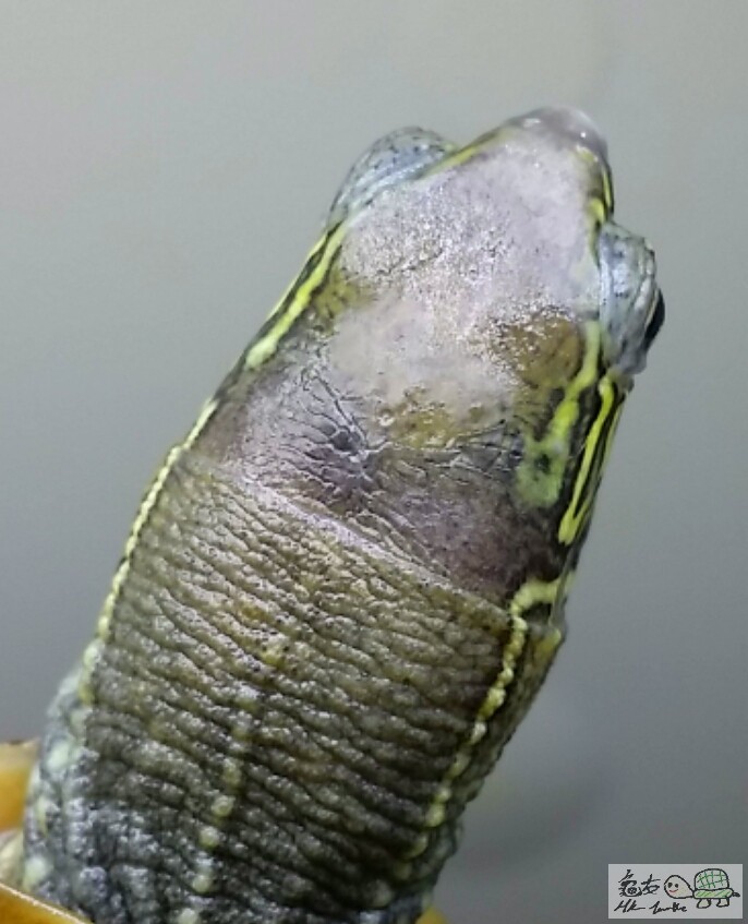 2017-03-27 16.10.59.jpg