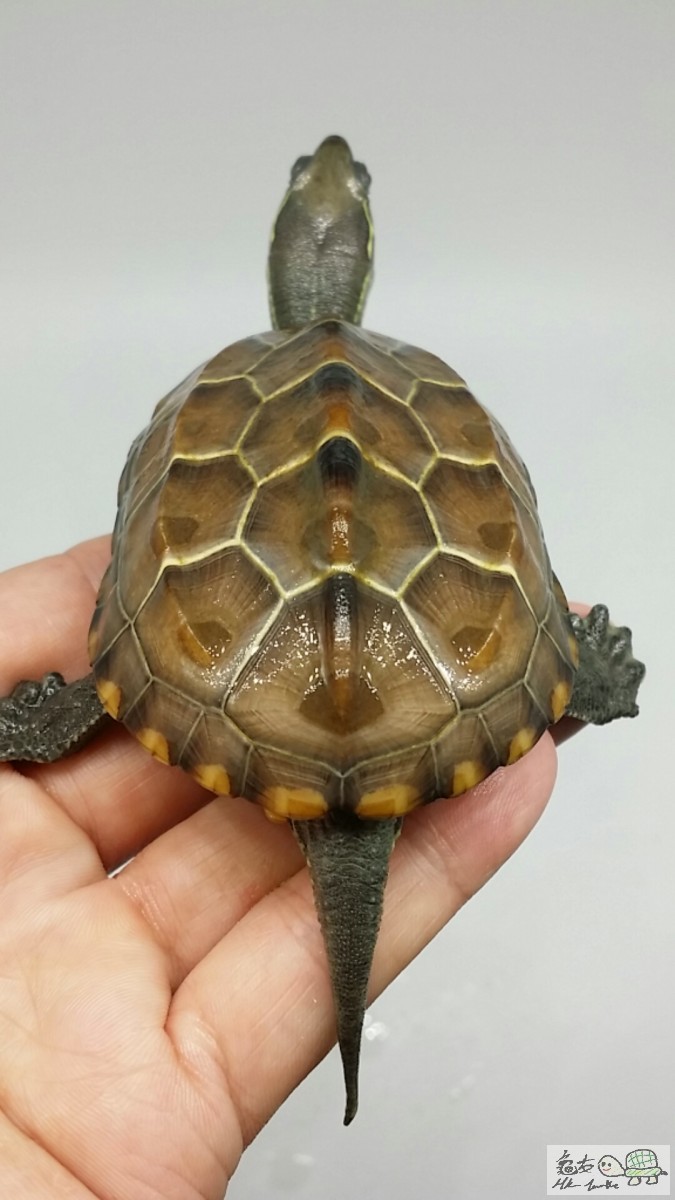 2017-05-05 17.16.19.jpg