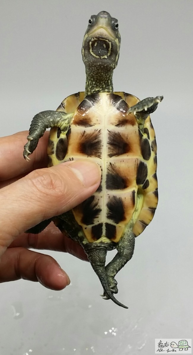 2017-05-05 17.19.40.jpg