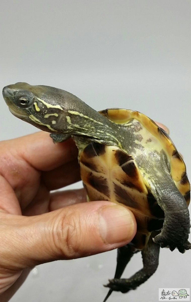 2017-05-05 17.21.43.jpg