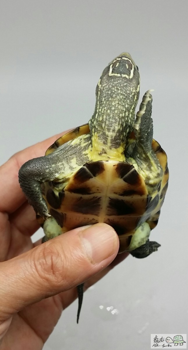 2017-05-05 17.23.39.jpg