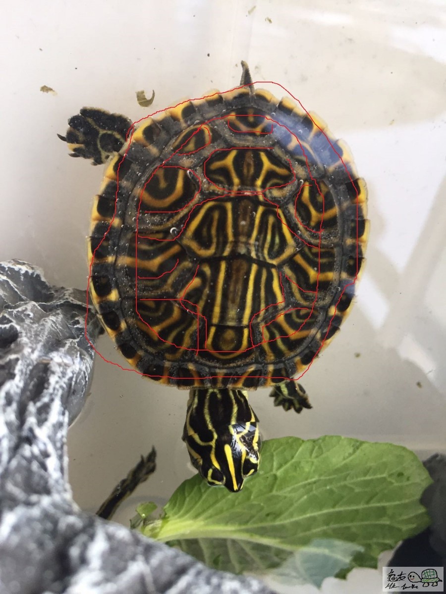 WhatsApp Image 2017-05-17 at 6.22.14 PM.jpeg