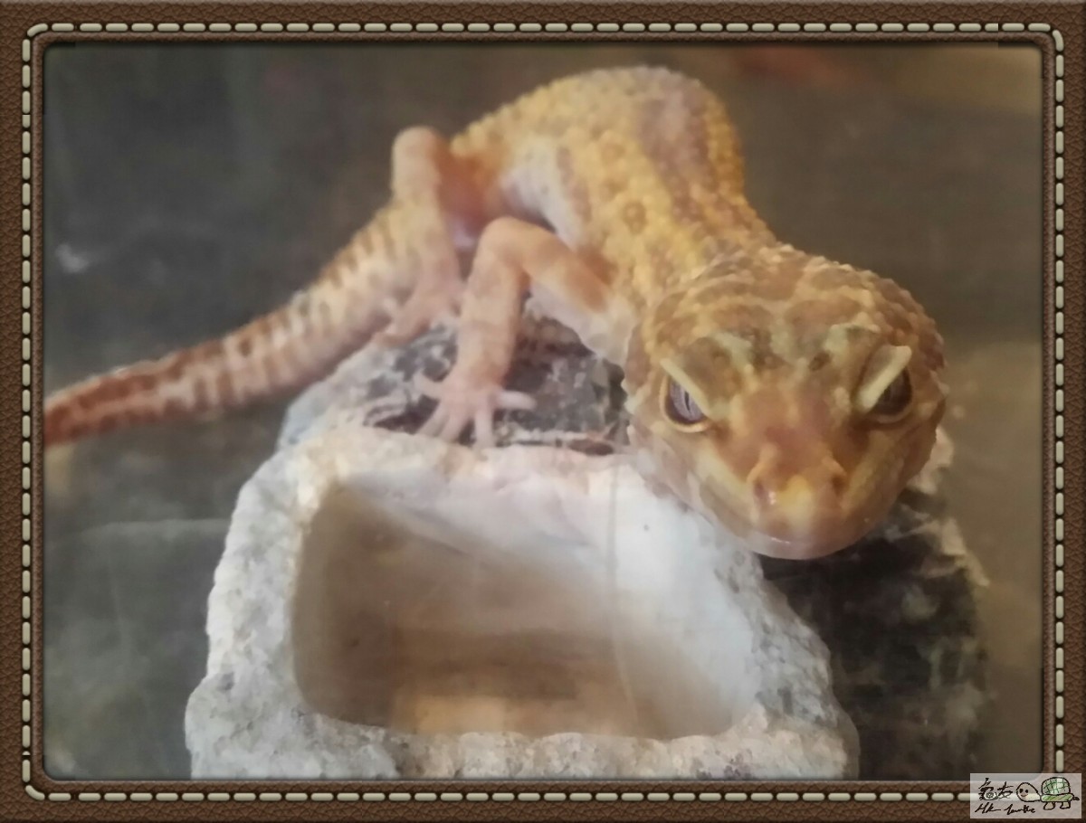 2018-01-28 10.37.48.jpg