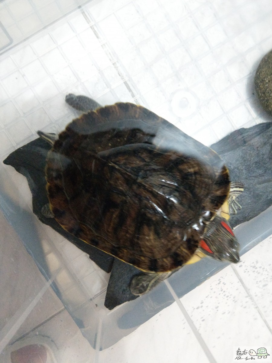 IMAG0829.jpg