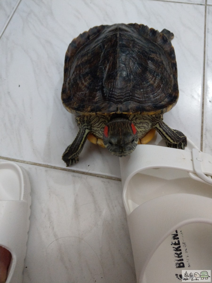IMAG0850.jpg