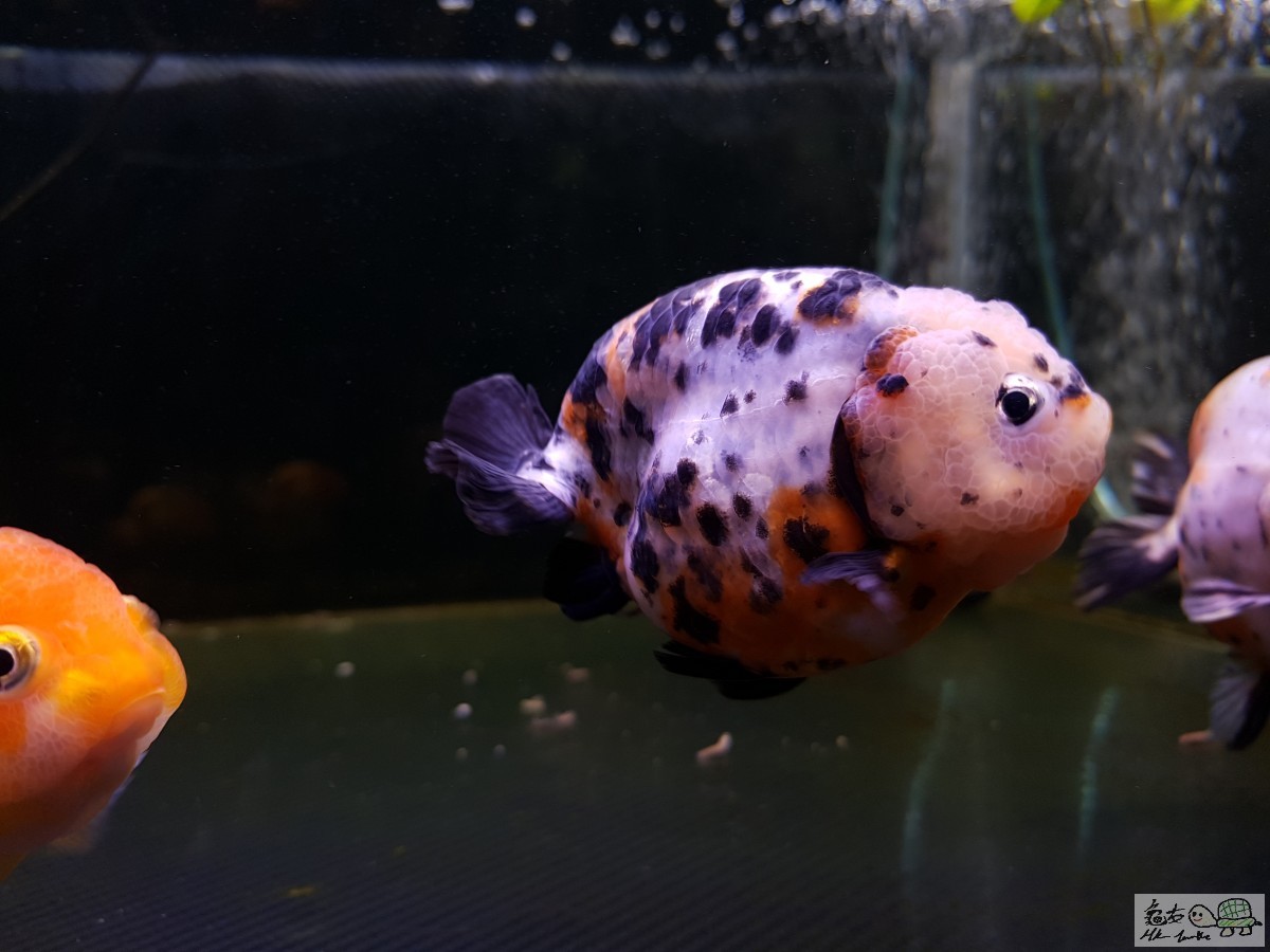 20181007_183254.jpg