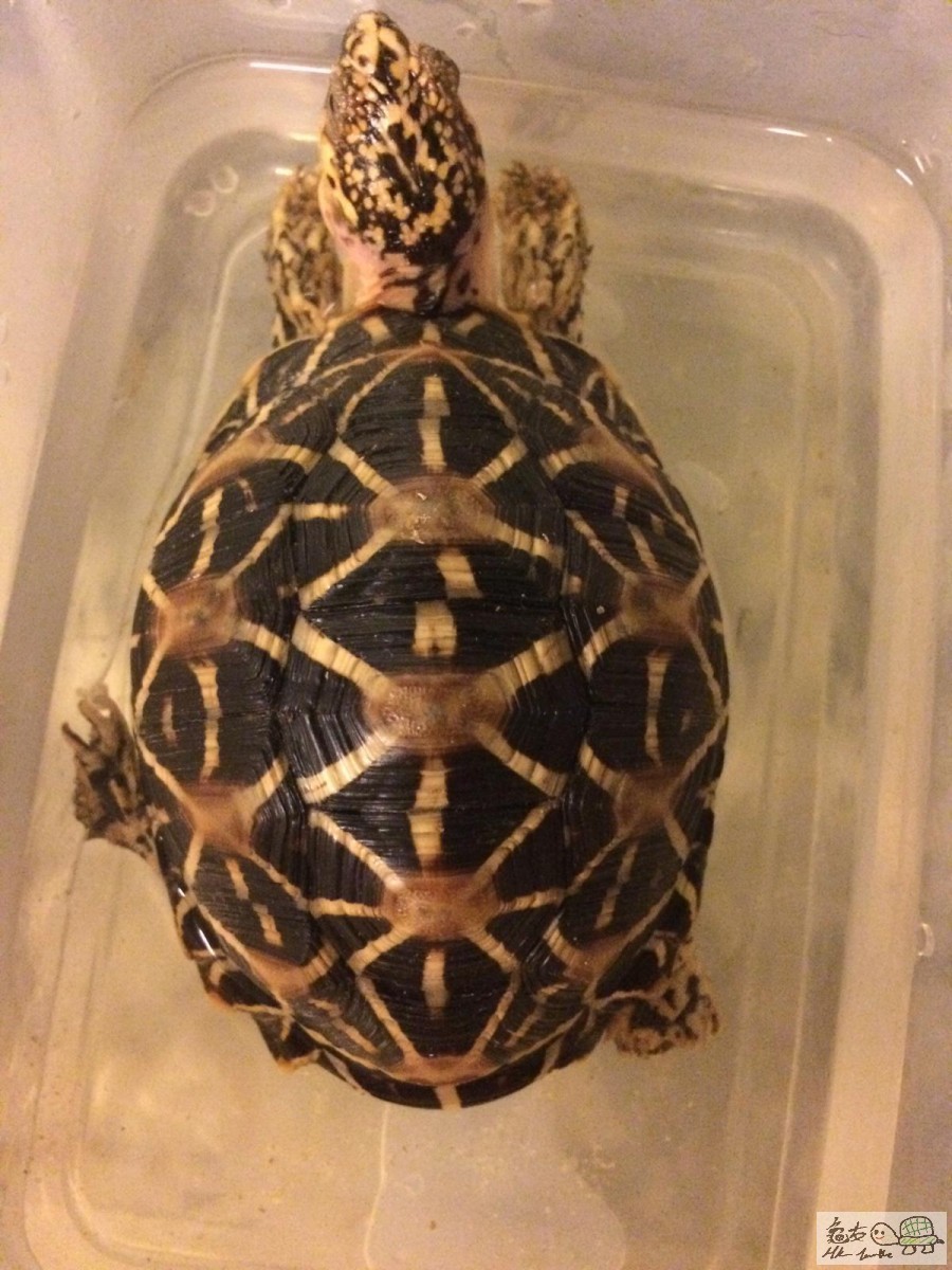 WhatsApp Image 2018-11-11 at 22.44.56.jpeg