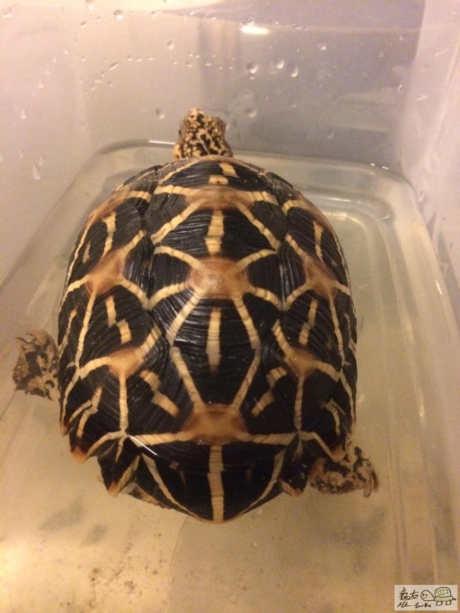 WhatsApp Image 2018-11-11 at 22.42.07.jpeg