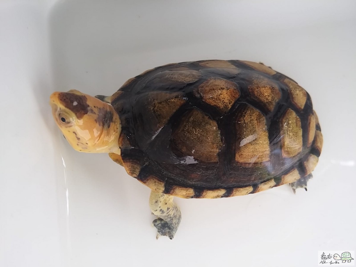 WhatsApp Image 2018-10-08 at 13.50.30.jpeg