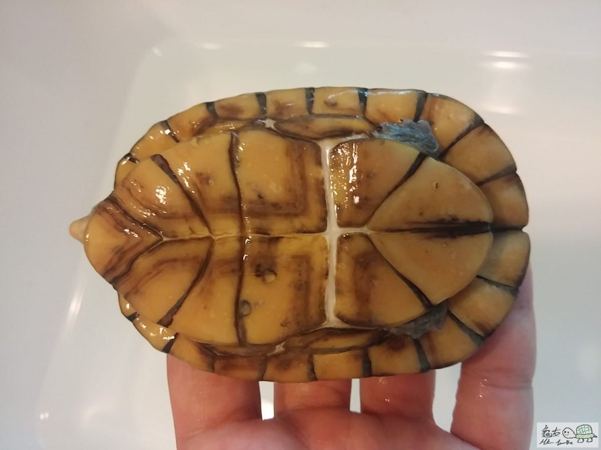 WhatsApp Image 2018-10-08 at 13.50.30(2).jpeg