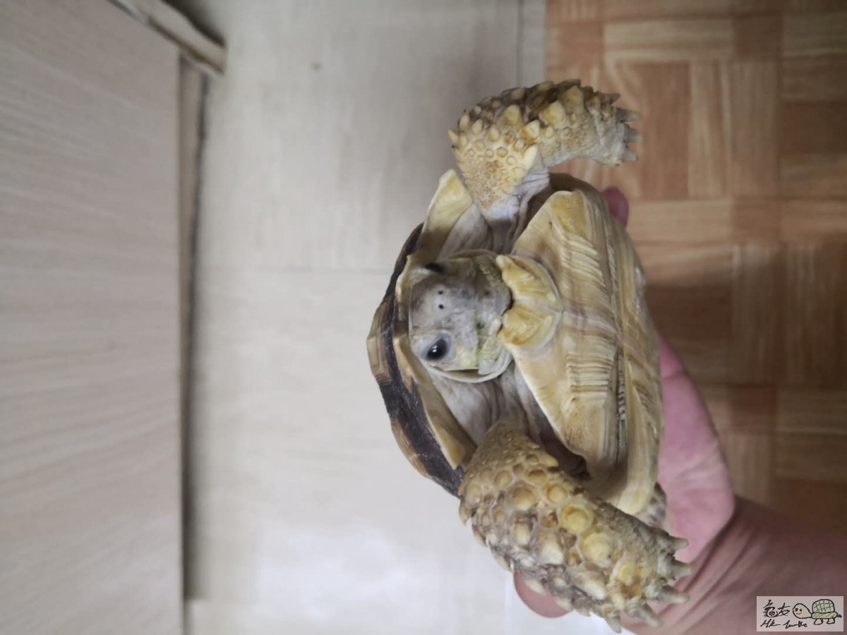 webwxgetmsgimg (1).jpg