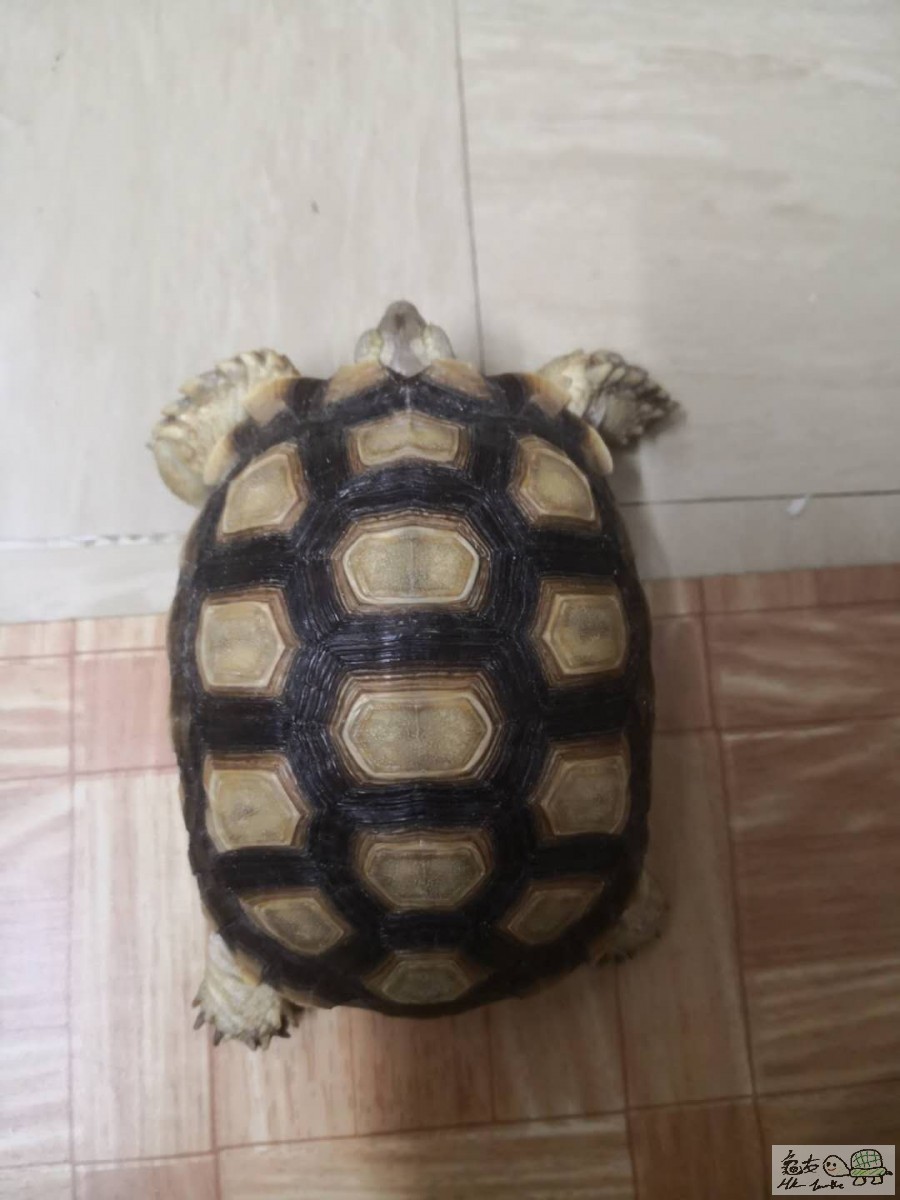 webwxgetmsgimg (3).jpg