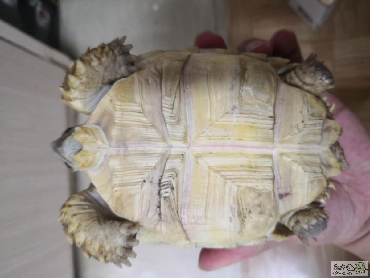 webwxgetmsgimg (2).jpg