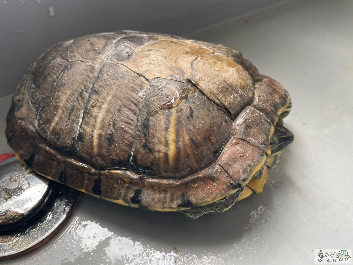 WhatsApp Image 2020-12-18 at 2.07.04 PM (1).jpeg