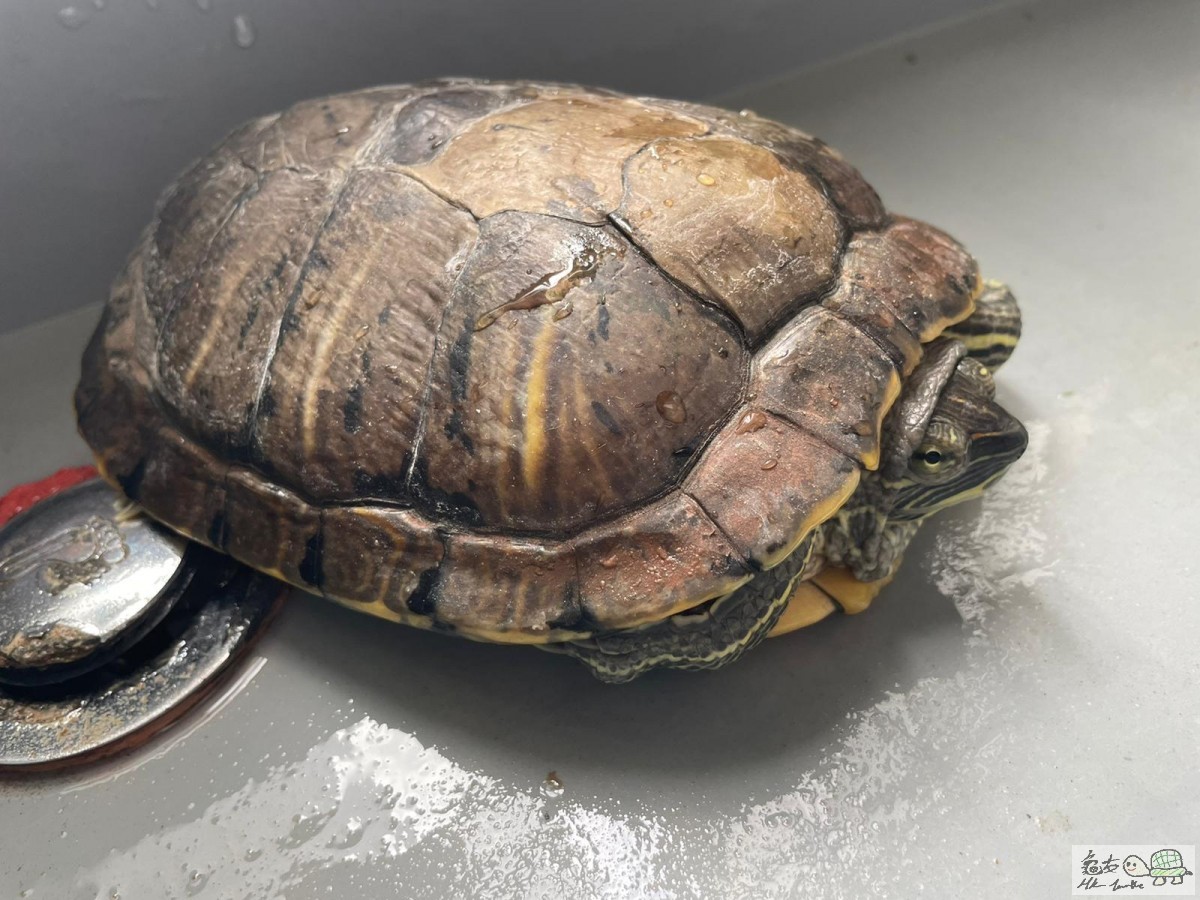 WhatsApp Image 2020-12-18 at 2.07.05 PM.jpeg