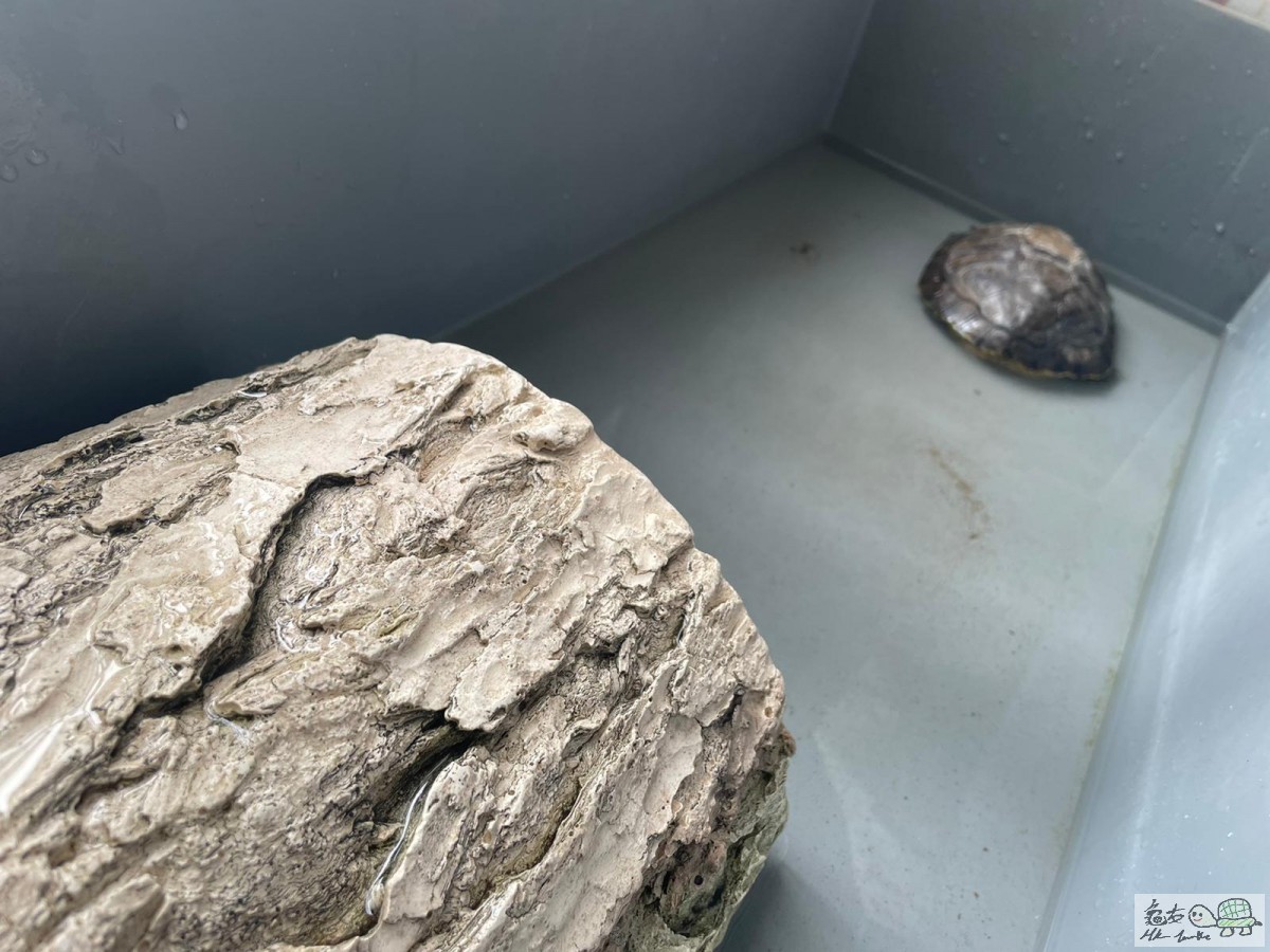 WhatsApp Image 2020-12-18 at 2.07.06 PM (1).jpeg