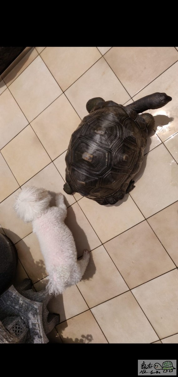 WhatsApp Image 2021-08-21 at 12.33.49 (3).jpeg