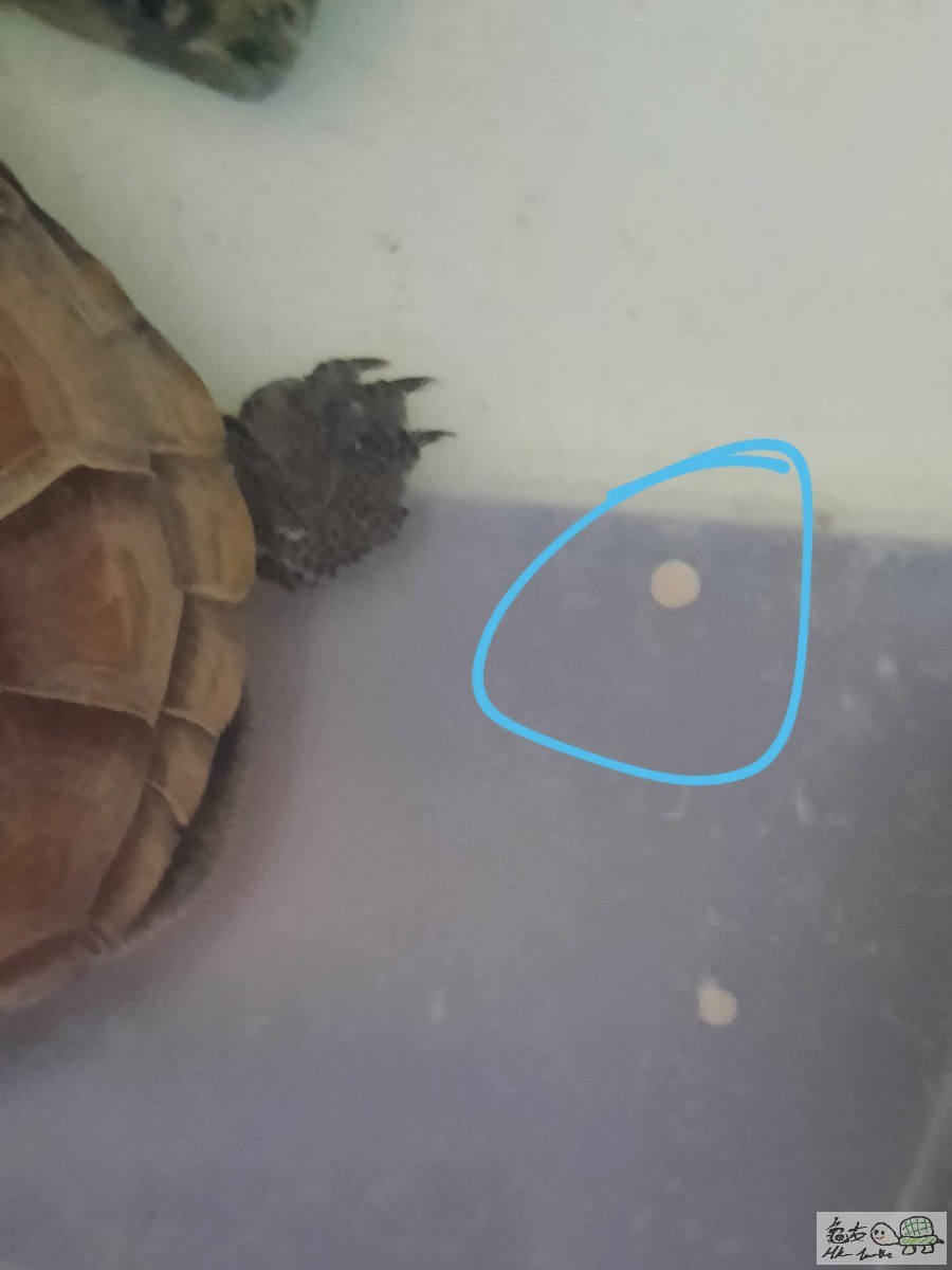 C07F8697-2529-472D-A4AD-F5B17CB58829.jpeg